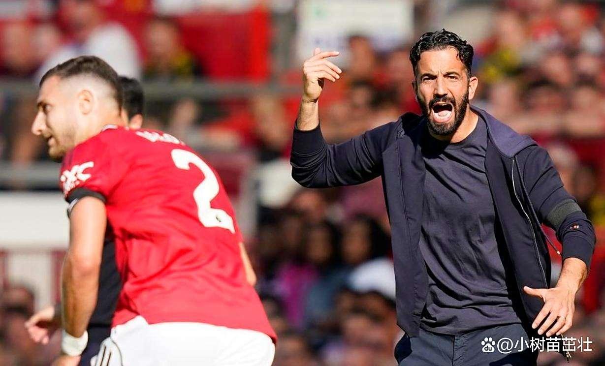 九游APP官网版关于西亚卡姆连续三场比赛得分超过战术调整集结日完成体检，媒体一致点评：阿森纳加时末段战术微调的信息